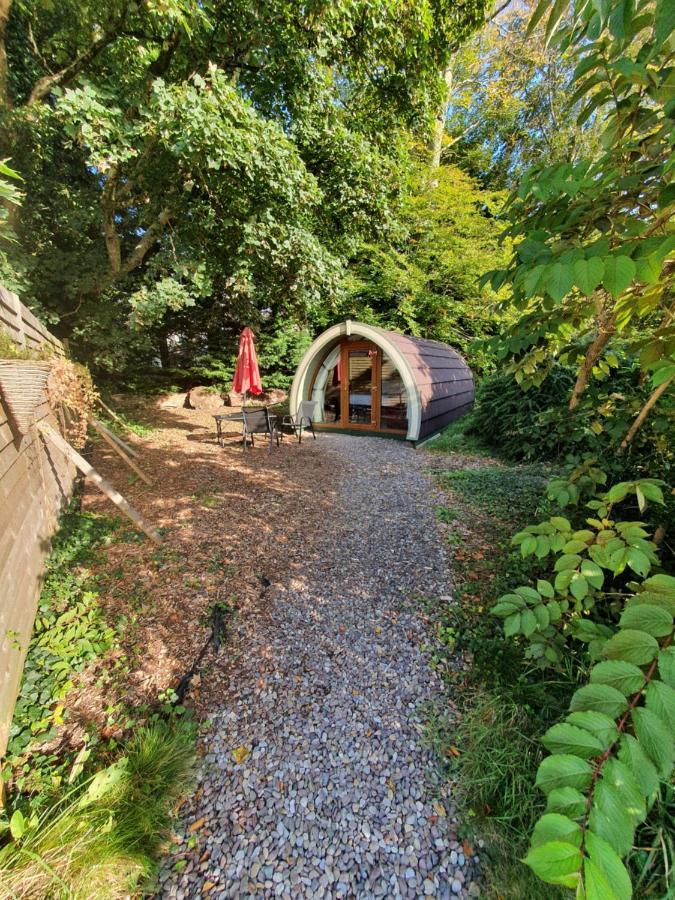 Priory Glamping Pods And Guest Accommodation Killarney Bagian luar foto