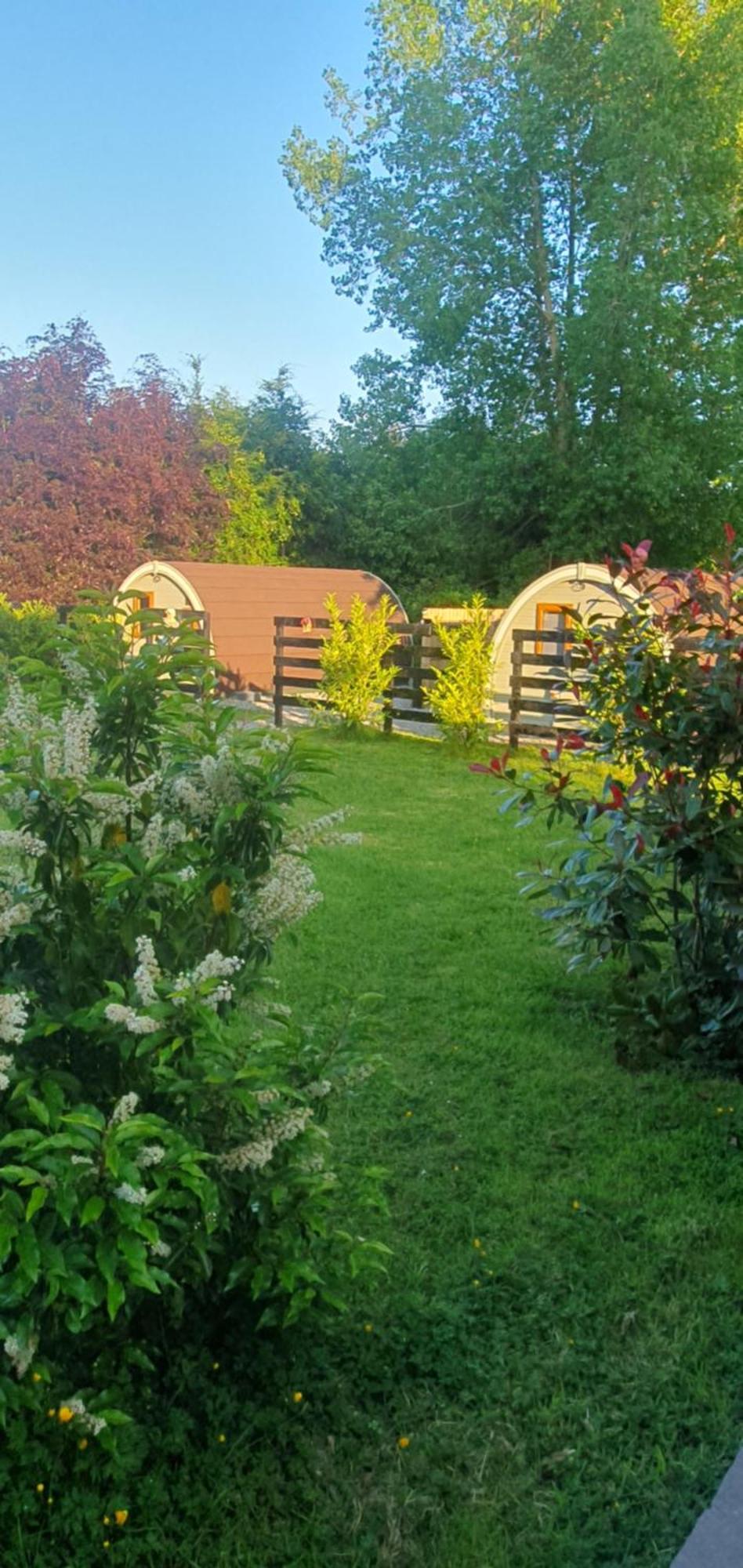 Priory Glamping Pods And Guest Accommodation Killarney Bagian luar foto