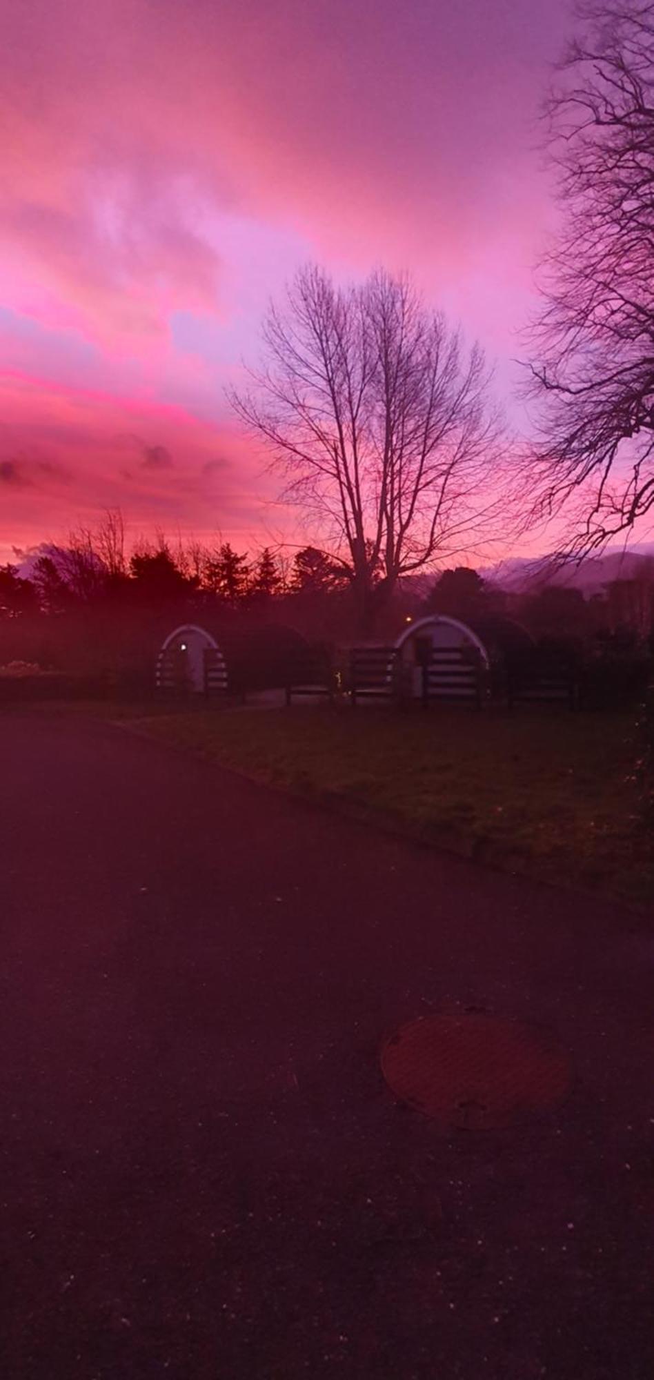 Priory Glamping Pods And Guest Accommodation Killarney Bagian luar foto