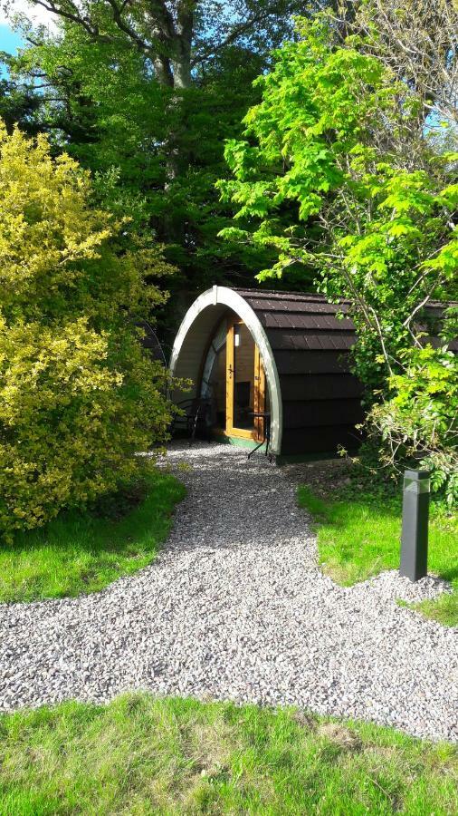 Priory Glamping Pods And Guest Accommodation Killarney Bagian luar foto