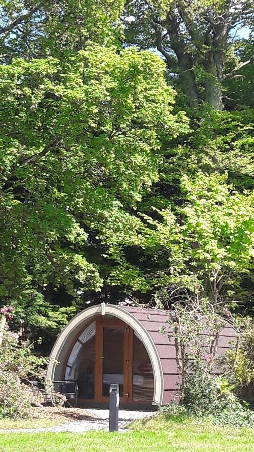 Priory Glamping Pods And Guest Accommodation Killarney Bagian luar foto