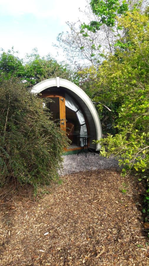 Priory Glamping Pods And Guest Accommodation Killarney Bagian luar foto